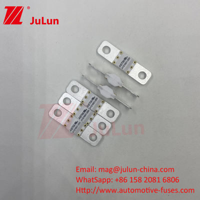 Fusibili per autoveicoli elettrici ASTM Fusibili 300A 125VDC