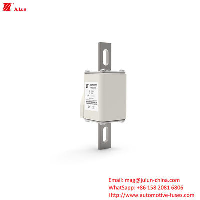 160A-550A DC1000V Fusibili per veicoli elettrici RSZ307-1-Q5Z Tipo terminale Fusibili a bullone
