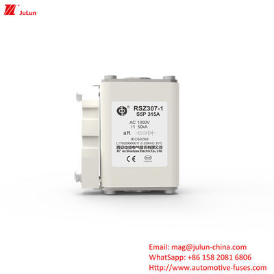 Caricabatterie per autoveicoli Fuse per veicoli elettrici 1000V AC con bullone sui terminali