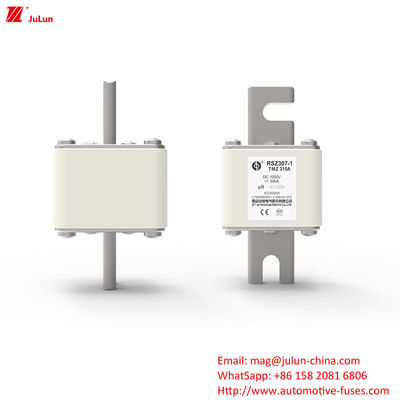 RSZ307-1-TMZ Adapter per caricabatterie a corrente continua con bullone su fusibili Applicazioni industriali di stoccaggio dell'energia