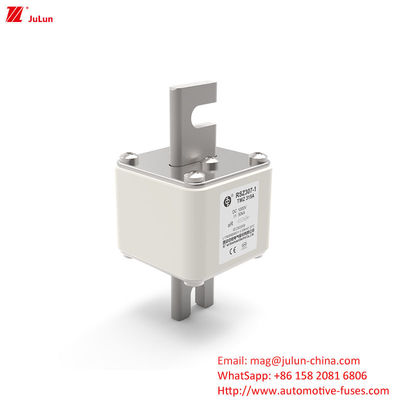 RSZ307 200A-450A DC250V fusibile per veicoli elettrici