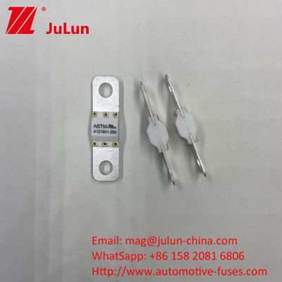 ASTM A121601-80A Microfusibile per lame automobilistiche 80 Amp