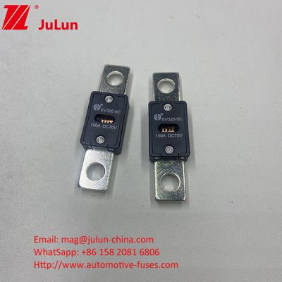 EV320-5X / 5C Batteria per autoveicoli 300A 70VDC Fuse di caricabatterie con Fuse CC per EV HEV Protezione inclusa