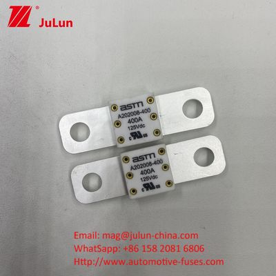 125VDC A202008 125VDC 200A Voltage Portable EV Charger Fuse Soluzione di ricarica definitiva per veicoli elettrici