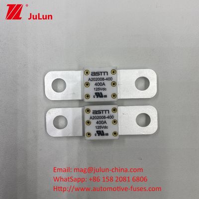 300A 125VDC Fuse della batteria per auto ASTM Personalizzabile Facile installazione