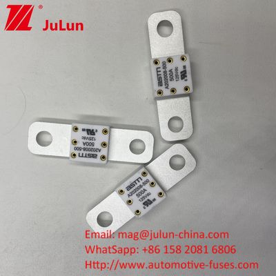 125VDC 200A ANM AMM AEGA ANL CNN CNL Fusibili per batterie per auto