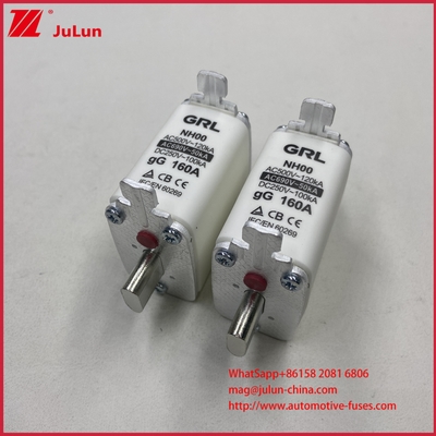 160A, 200A, 250A, 315A, 400A, NT000, NT00, NT0, NT1, NT2, NT3, NT4 Fusibile a coltello e base fusibile 500V AC 10A~100A, 125A, 500A 630A