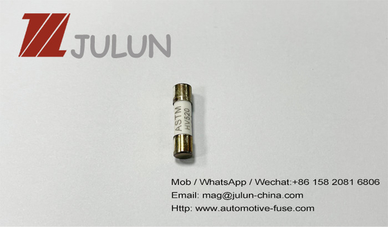 fusibili ceramici ad azione ritardata della metropolitana di 600V 500V 5x20mm